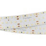Лента светодиодная S2-2500 24V White 6000K 34mm (2835, 280 LED/m, LUX) (Arlight, 25 Вт/м, IP20)
