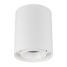 Светильник SP-FOCUS-R132-24W Day4000 (WH, 50 deg, 230V) (Arlight, IP54 Металл, 5 лет)