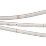 Лента светодиодная RTW 2-5000PS 24V Cool 8K (2835, 80 LED/m, LUX) (Arlight, 6 Вт/м, IP67)