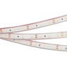 Лента светодиодная RTW 2-5000PGS 12V Cool (3528, 300 LED, LUX) (Arlight, 4.8 Вт/м, IP67)