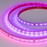 Лента светодиодная герметичная SPI-PFS-B60-12mm 24V RGB-PX6-BPT (12 W/m, IP68, 5060, 5m) (Arlight, бегущий огонь)