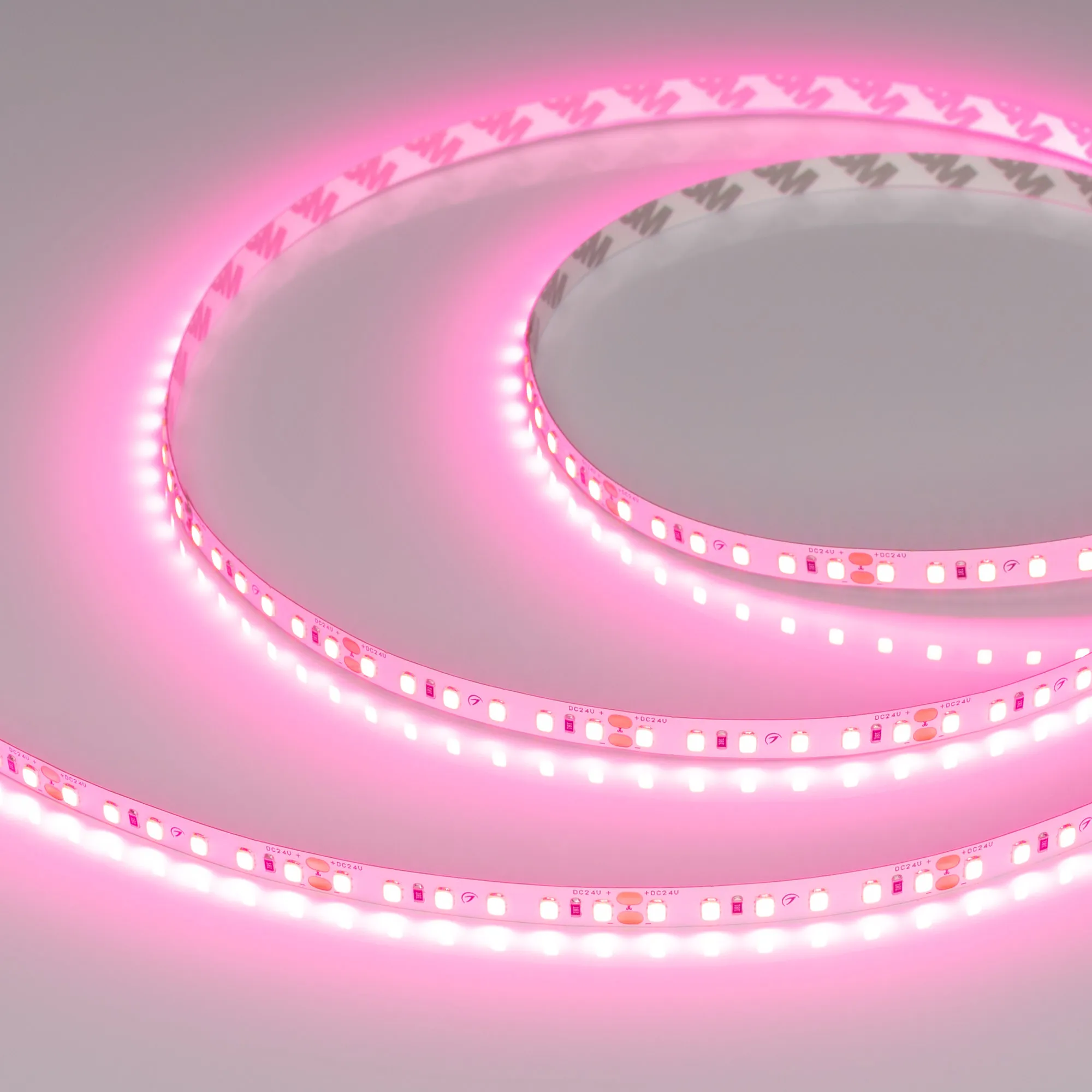Лента светодиодная RT-A120-8mm 24V Pink (9.6 W/m, IP20, 2835, 5m) (Arlight, -) - изображение товара