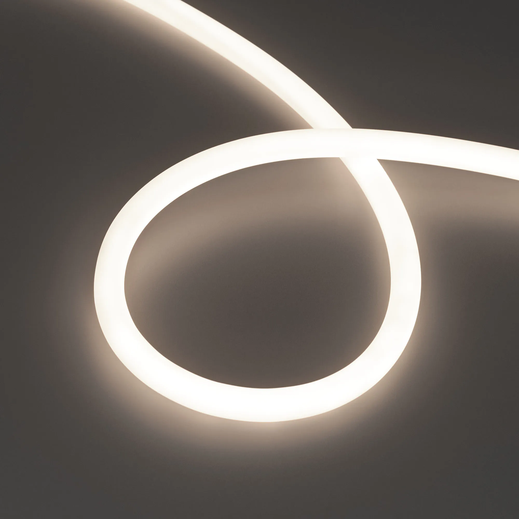Лента светодиодная герметичная MOONLIGHT-TOP-M560-D13mm 24V Day4000 360deg (8.6 W/m, IP65, 5m, wire x1) (Arlight, Вывод прямой, 3 года)