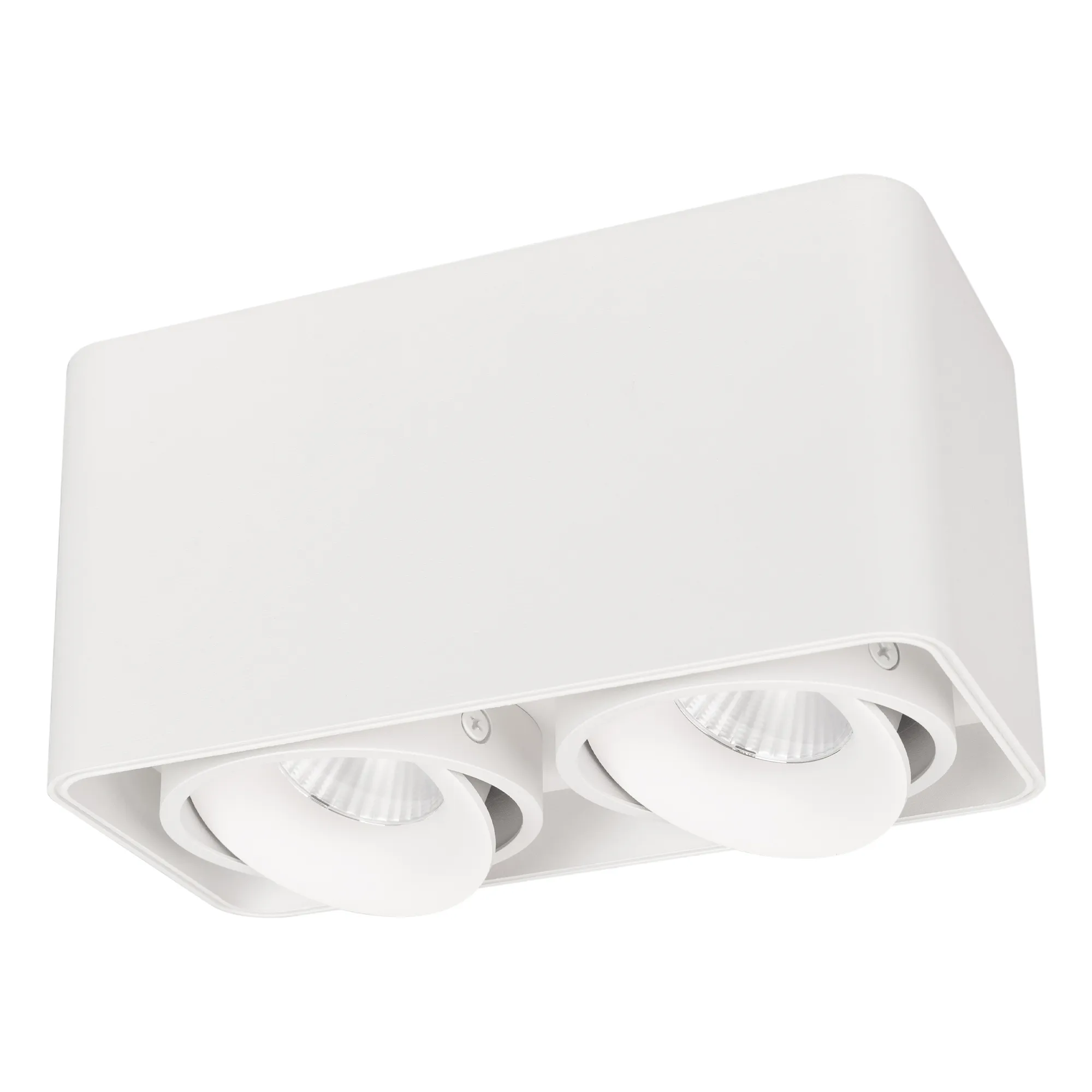 Светильник SP-CUBUS-S195x100-2x8W Day4000 (WH, 45 deg, 230V) (Arlight, IP20 Металл, 3 года) - изображение товара