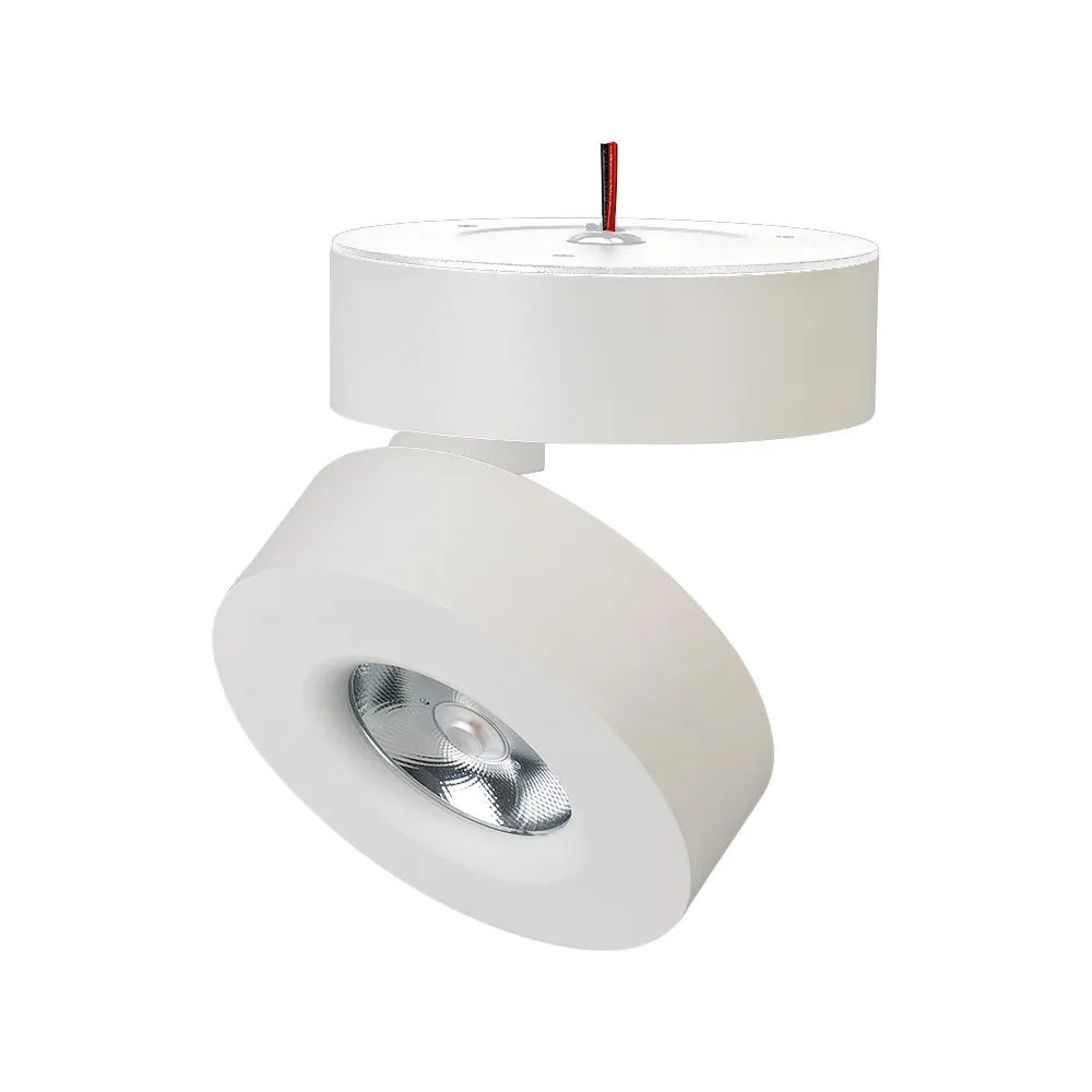 Светильник SP-MONA-SURFACE-R100-12W Day4000 (WH, 24 deg) (Arlight, IP40 Металл, 3 года) - изображение товара